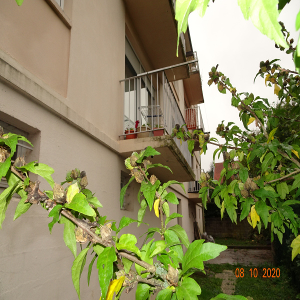 Offres de vente Appartement Ars-sur-Moselle 57130
