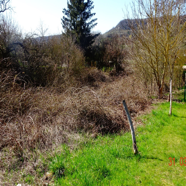 Offres de vente Terrain Villecey-sur-Mad 54890
